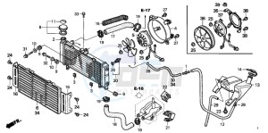 CB600F HORNET drawing RADIATOR