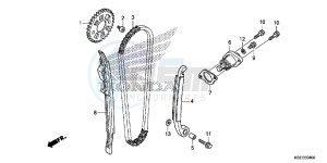 CRF150RD CRF150R Europe Direct - (ED) drawing CAM CHAIN/TENSIONER