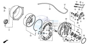 TRX350TE FOURTRAX 350 ES drawing REAR BRAKE PANEL