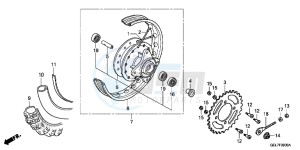 CRF50FD CRF50F Europe Direct - (ED) drawing REAR WHEEL