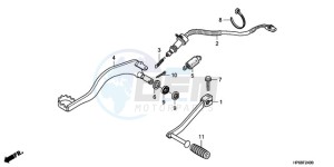 TRX700XX9 Australia - (U) drawing PEDAL