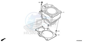 TRX420FE1E TRX420 Europe Direct - (ED) drawing CYLINDER