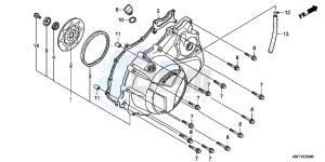 XL1000VB drawing RIGHT CRANKCASE COVER