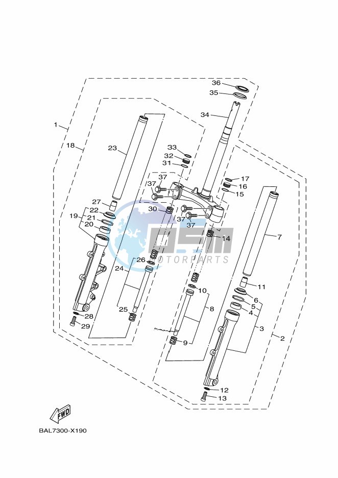 CAMSHAFT & CHAIN