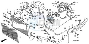 CB600FA9 France - (F / ABS CMF 25K) drawing RADIATOR