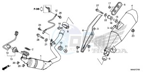 NC750XDG SH125AS UK - (E) drawing EXHAUST MUFFLER