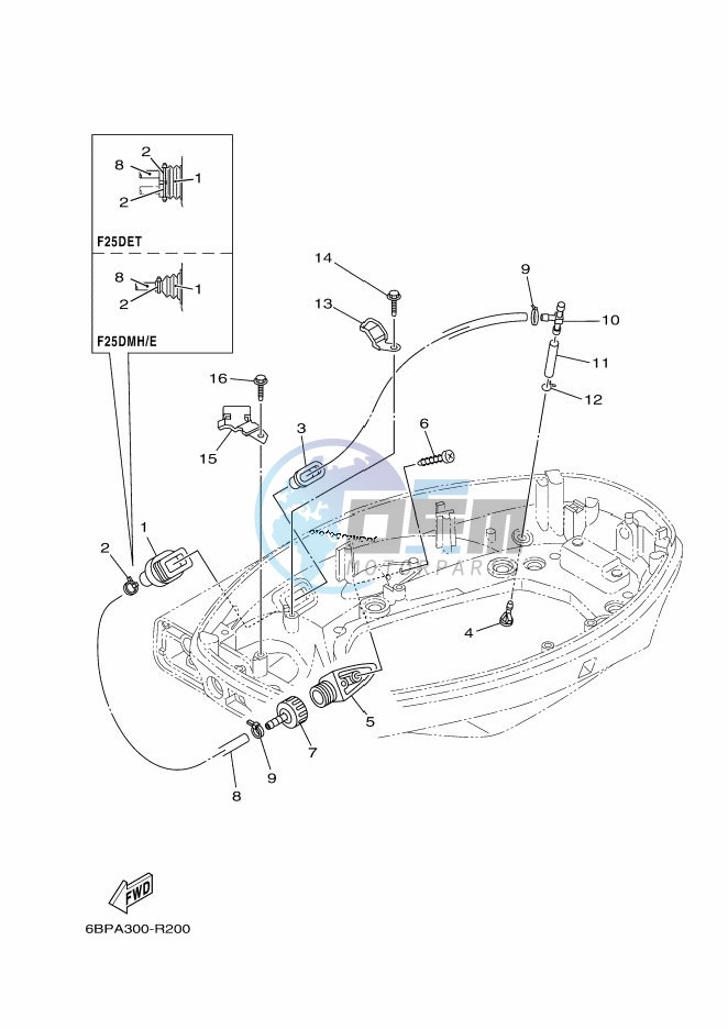 BOTTOM-COWLING-2