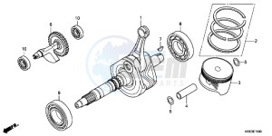 TRX500FPMD TRX500FPM Australia - (U) drawing CRANK SHAFT/PISTON