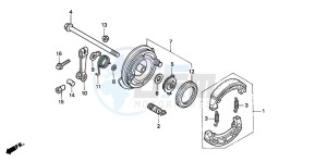 C50S drawing FRONT BRAKE PANEL