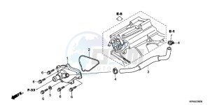 TRX420FPMC TRX420 ED drawing WATER PUMP COVER