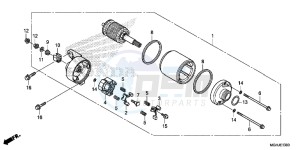 VFR1200X Europe Direct - (ED) drawing STARTING MOTOR