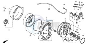 TRX350TM RANCHER drawing REAR BRAKE PANEL