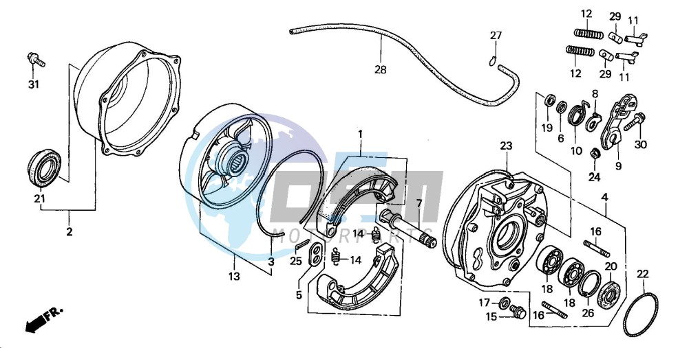 REAR BRAKE PANEL