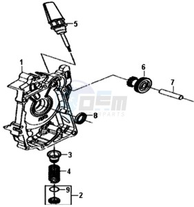 CROX 50 (AE05W6-NL) (L5-M1) drawing CRANKCASE RIGHT / START MOTOR