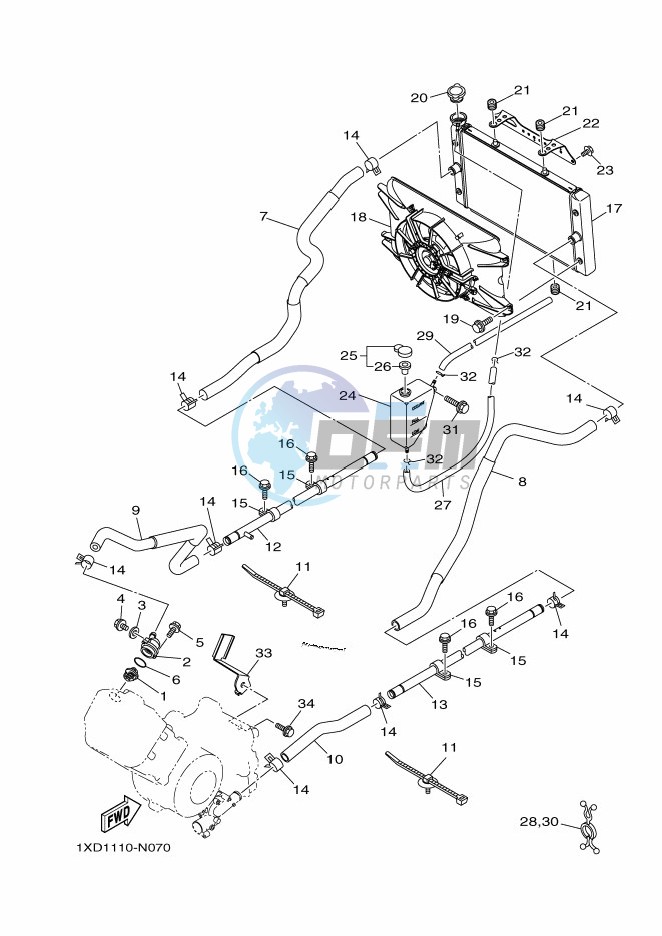 RADIATOR & HOSE