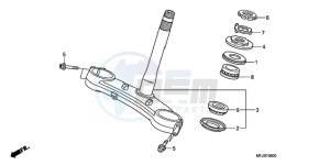 CBR600RA9 Europe Direct - (ED / ABS) drawing STEERING STEM