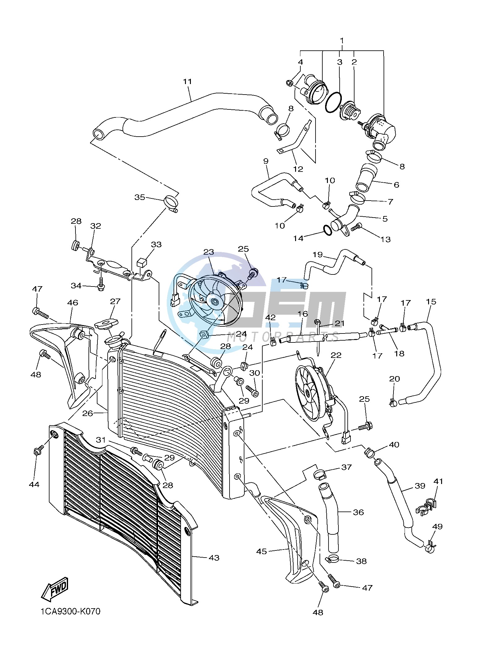 RADIATOR & HOSE