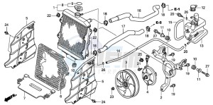 TRX420TM FOURTRAX drawing RADIATOR