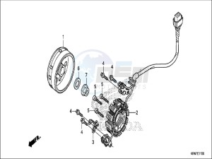 CRF250RH Europe Direct - (ED) drawing GENERATOR