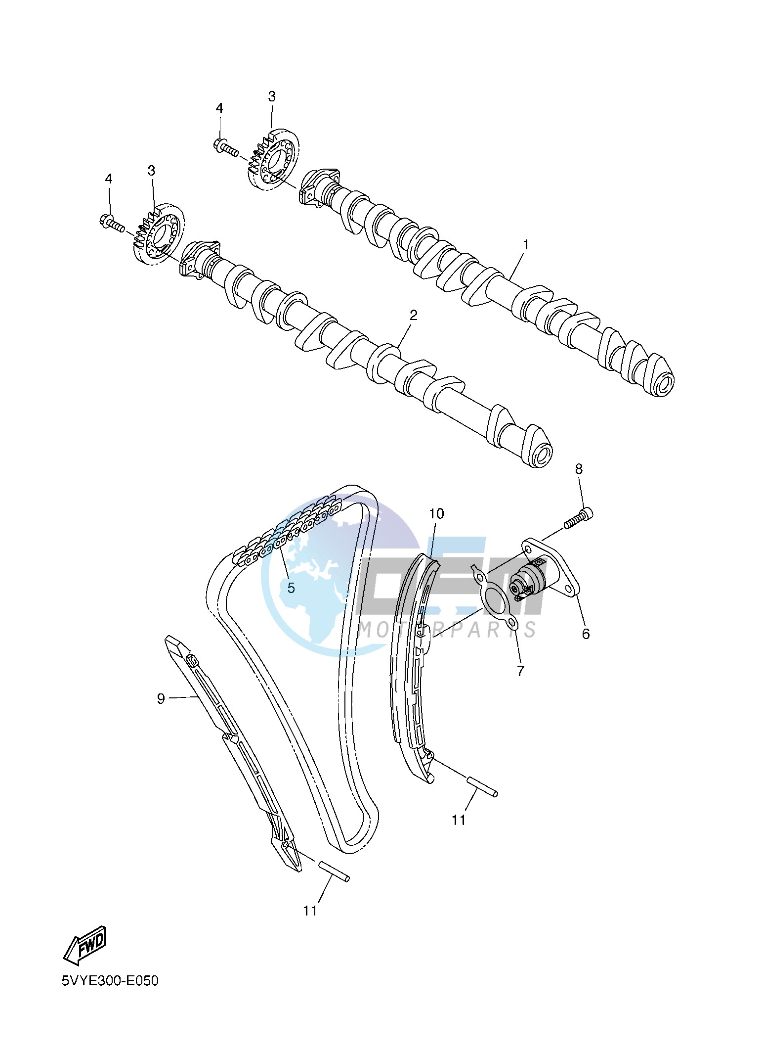 CAMSHAFT & CHAIN