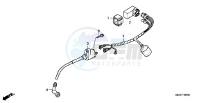 CRF50FB CRF50F ED drawing WIRE HARNESS