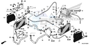 GL1800BG GOLDWING - F6B UK - (E) drawing RADIATOR