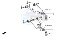 TRX250EX SPORTRAX 250 EX drawing FRONT ARM (TRX250EX6/7/8)