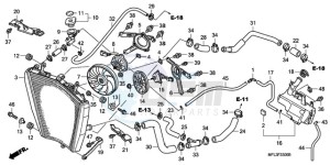 CBR1000RAA Australia - (U / ABS) drawing RADIATOR