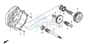 SJ50 BALI drawing TRANSMISSION