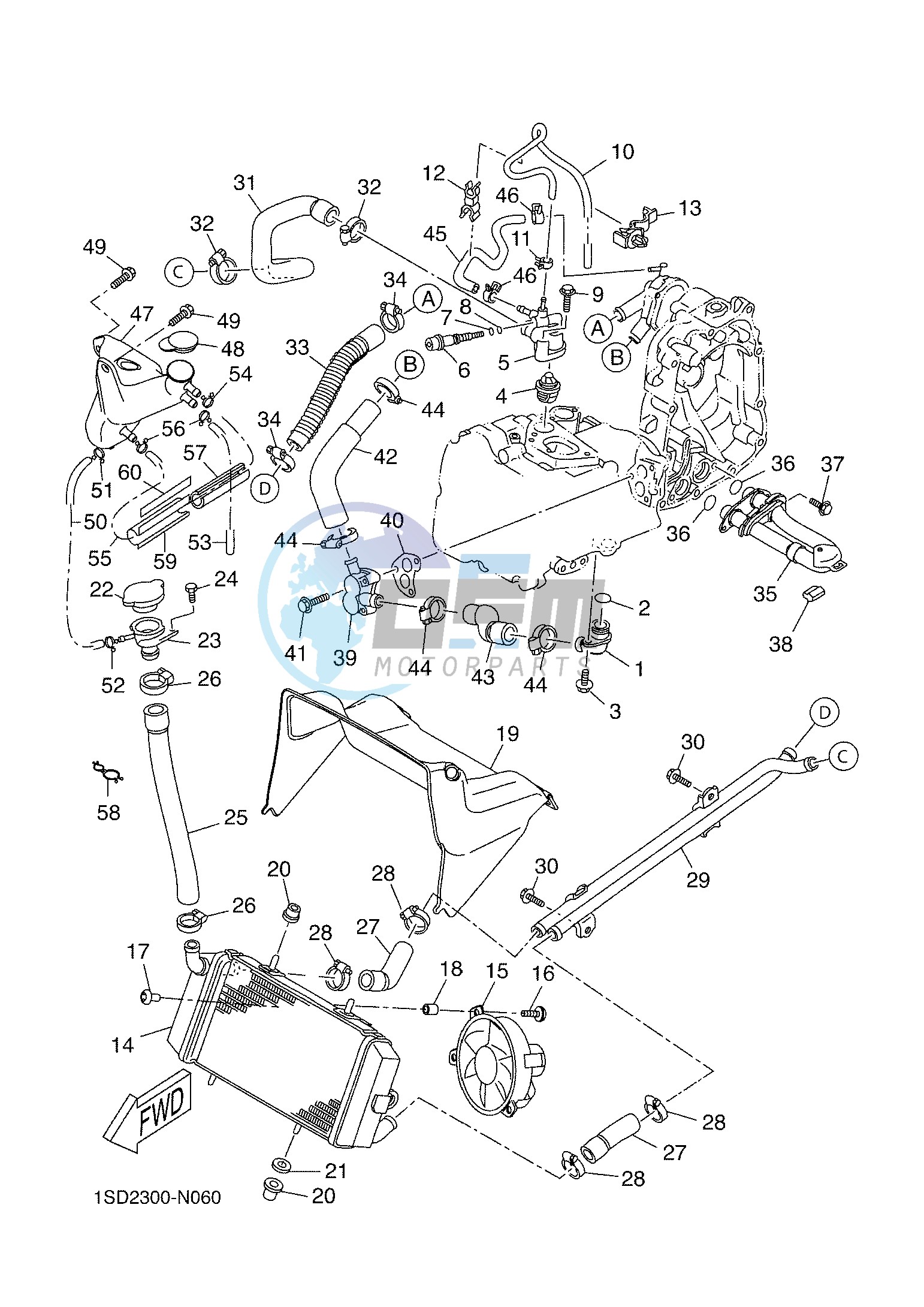 RADIATOR & HOSE