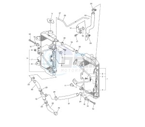 WR F 250 drawing RADIATOR AND HOSE