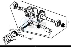 ALLO 50 (45 KM/H) (AJ05WA-EU) (L8-M0) drawing CRANK SHAFT