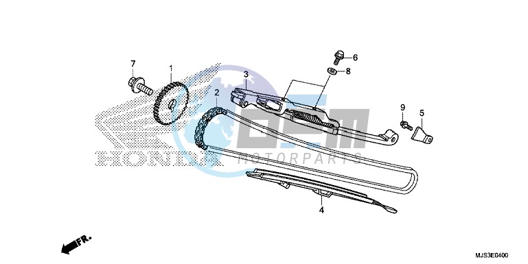 CAM CHAIN/TENSIONER