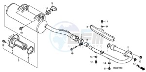 TRX250XC drawing MUFFLER