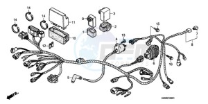 TRX250TEA Australia - (U / EC) drawing WIRE HARNESS (TRX250TE)