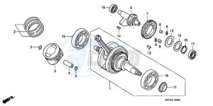 CBR125RWA France - (F / CMF WH) drawing CRANK SHAFT/PISTON