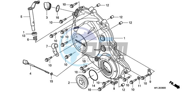 RIGHT CRANKCASE COVER