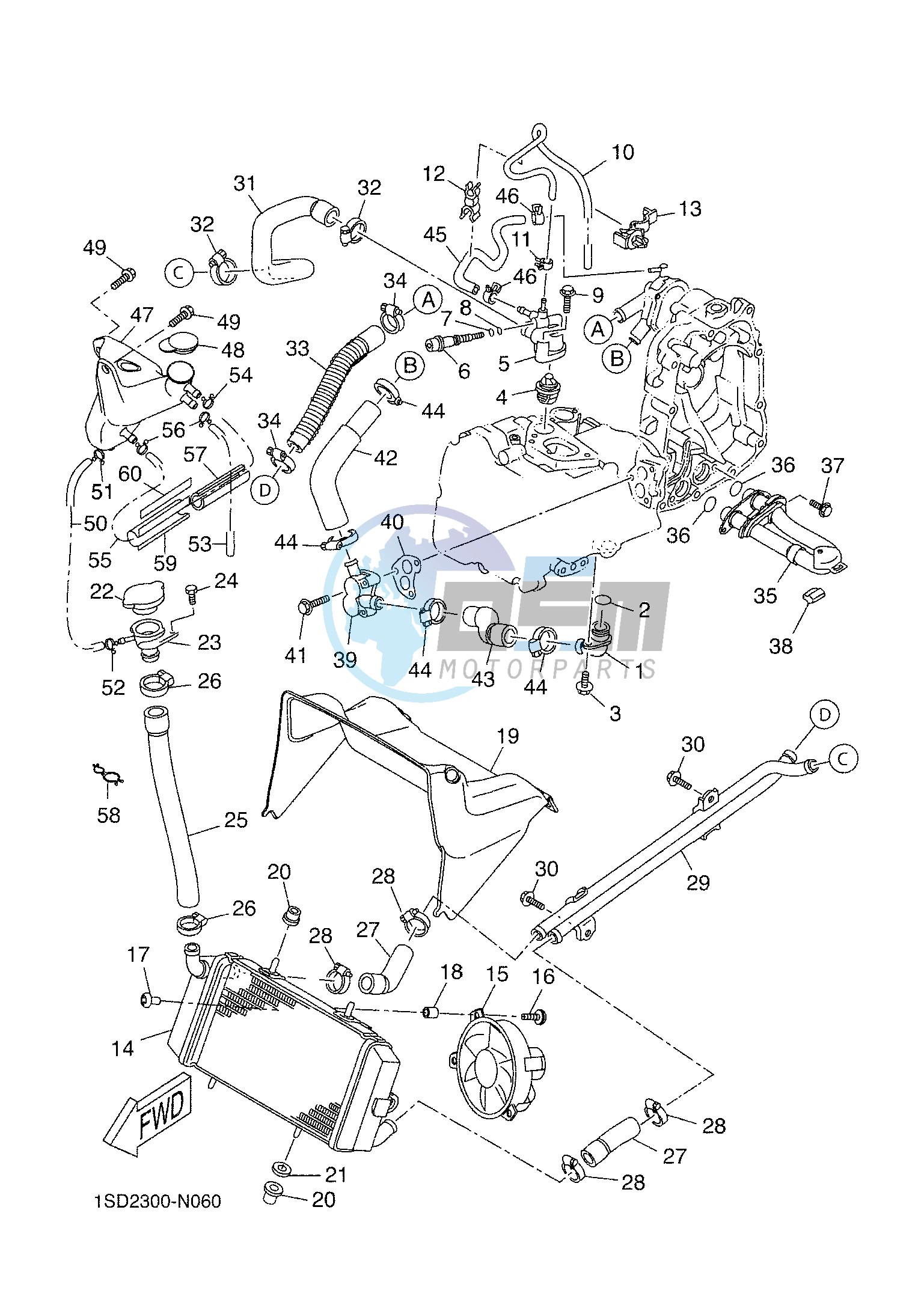 RADIATOR & HOSE