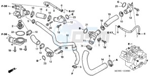 VFR800A9 France - (F / ABS CMF MME TWO) drawing WATER HOSE