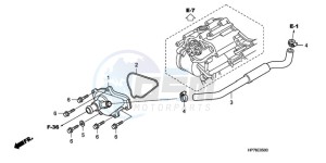 TRX420FA9 Australia - (U) drawing WATER PUMP COVER