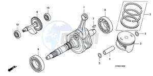 TRX420FEA Australia - (U / 2U 4WD) drawing CRANK SHAFT/PISTON