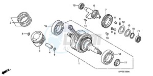 CBR125RW9 UK - (E / WH) drawing CRANK SHAFT/PISTON