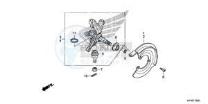 TRX420TED TRX420 Europe Direct - (ED) drawing FRONT KNUCKLE (2WD)