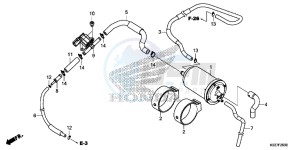 SH300AG TRX250T Europe Direct - (ED) drawing CANISTER