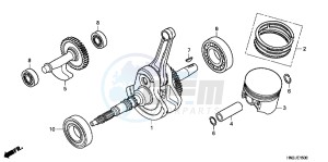 SH125DH UK - (E) drawing BODY COVER