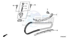 SH300AR9 UK - (E / ABS MKH SPC TBX) drawing CAM CHAIN