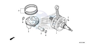 CRF150RBE CRF150RB Europe Direct - (ED) drawing CRANKSHAFT/PISTON