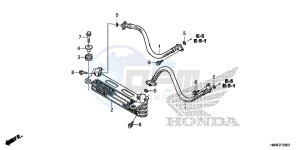 TRX250TEE FOURTRAX RECON ES Europe Direct - (ED) drawing OIL COOLER