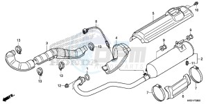 TRX420FA1H TRX420 ED drawing EXHAUST MUFFLER