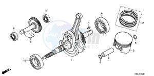 TRX500FAB drawing CRANKSHAFT/ PI STON